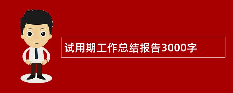 试用期工作总结报告3000字