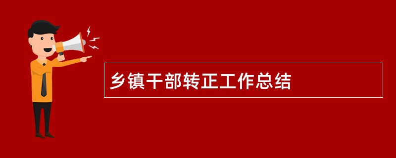 乡镇干部转正工作总结