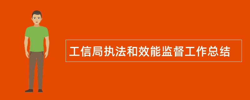 工信局执法和效能监督工作总结