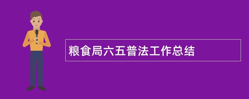 粮食局六五普法工作总结