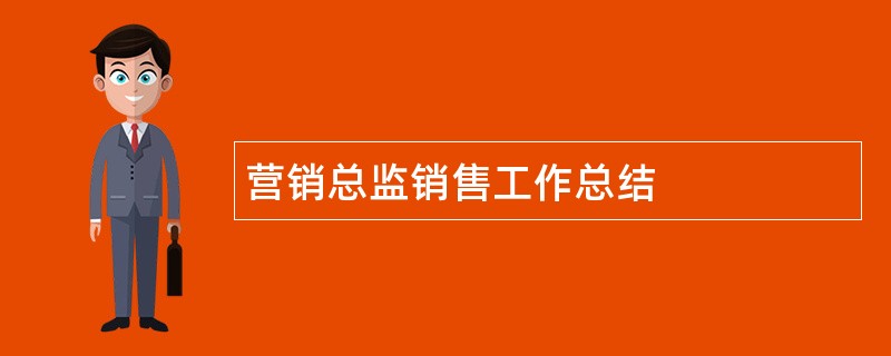 营销总监销售工作总结