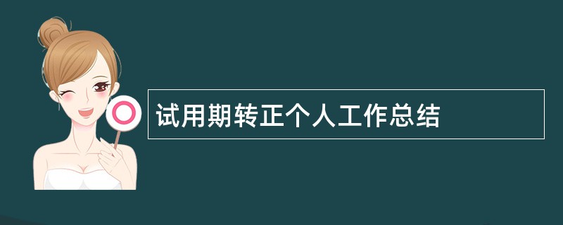 试用期转正个人工作总结