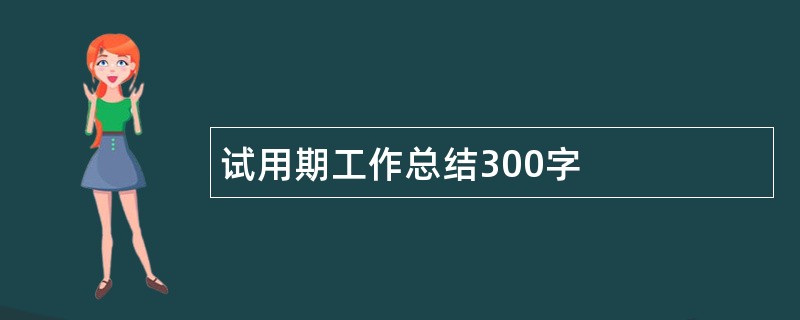 试用期工作总结300字