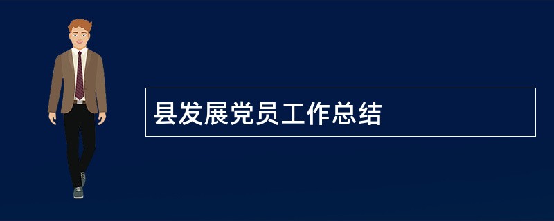 县发展党员工作总结