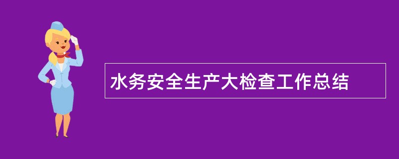 水务安全生产大检查工作总结