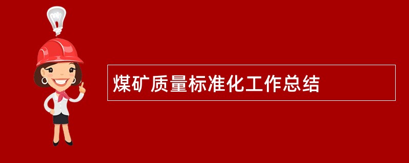 煤矿质量标准化工作总结