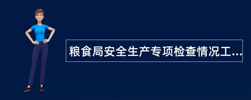 粮食局安全生产专项检查情况工作总结