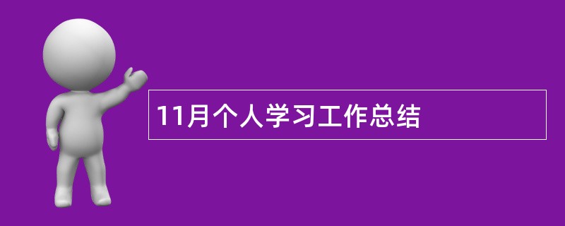 11月个人学习工作总结