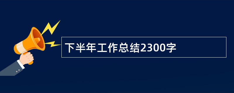 下半年工作总结2300字