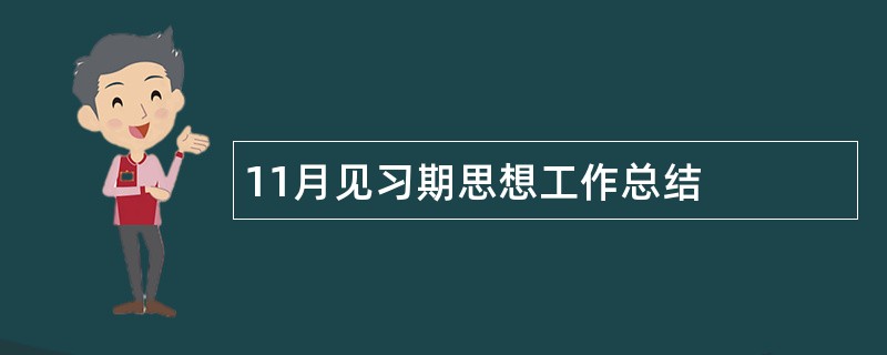 11月见习期思想工作总结