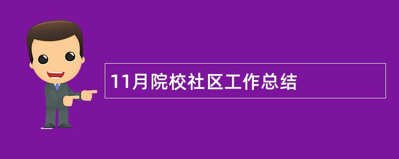 11月院校社区工作总结