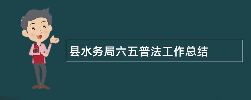 县水务局六五普法工作总结