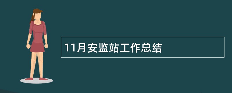 11月安监站工作总结