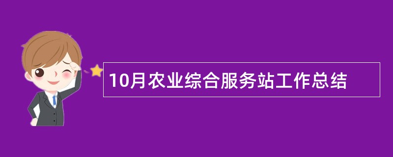 10月农业综合服务站工作总结