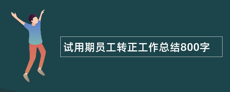 试用期员工转正工作总结800字