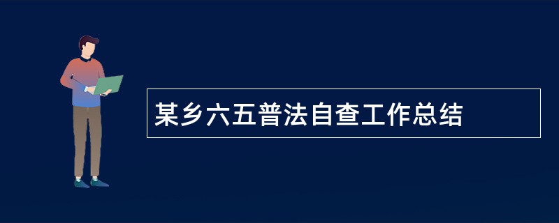 某乡六五普法自查工作总结