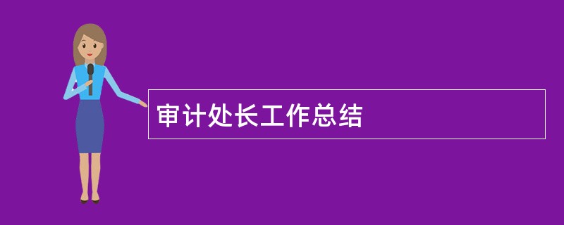 审计处长工作总结