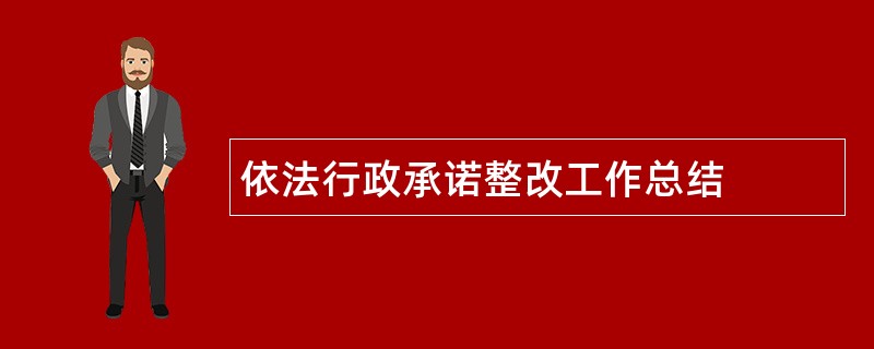 依法行政承诺整改工作总结