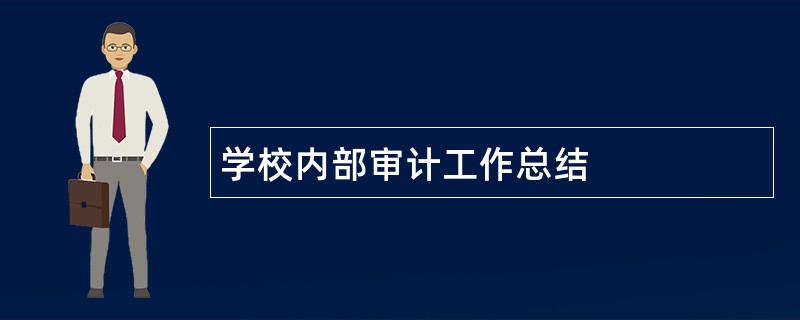 学校内部审计工作总结