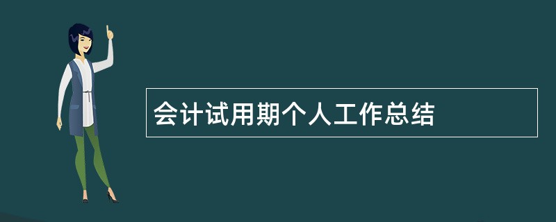 会计试用期个人工作总结