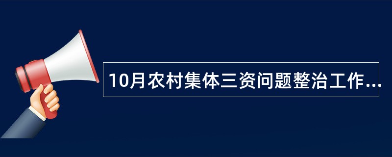 10月农村集体三资问题整治工作总结汇报