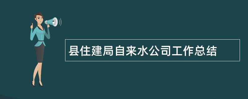 县住建局自来水公司工作总结