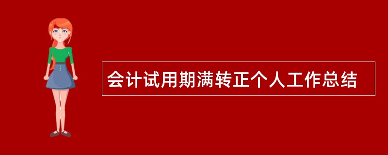 会计试用期满转正个人工作总结