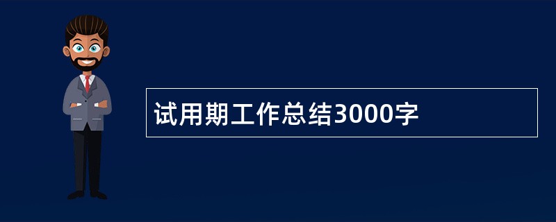 试用期工作总结3000字