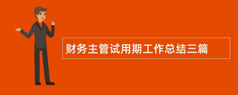 财务主管试用期工作总结三篇