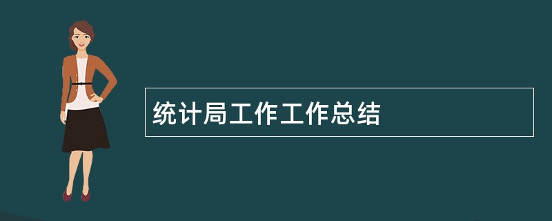 统计局工作工作总结