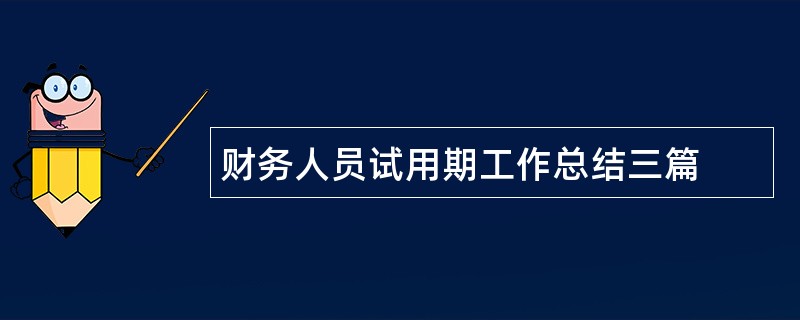 财务人员试用期工作总结三篇