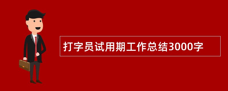 打字员试用期工作总结3000字