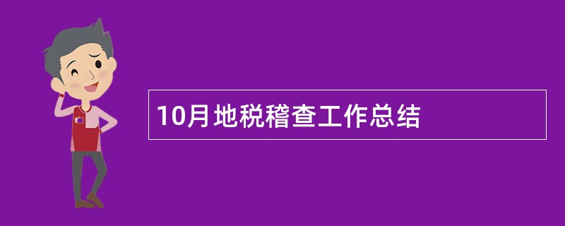 10月地税稽查工作总结