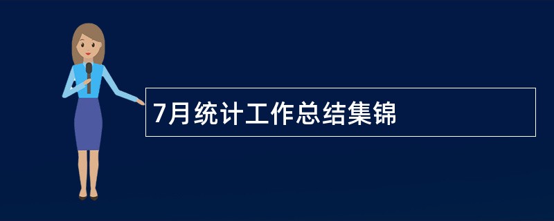 7月统计工作总结集锦