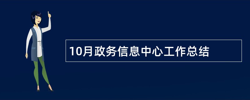 10月政务信息中心工作总结