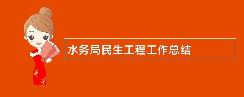 水务局民生工程工作总结