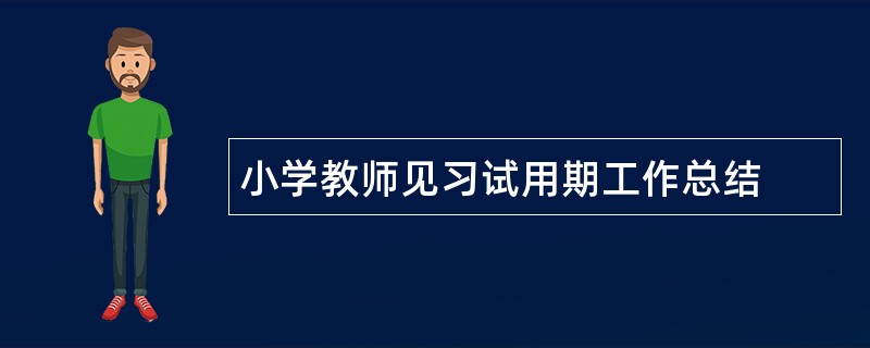 小学教师见习试用期工作总结