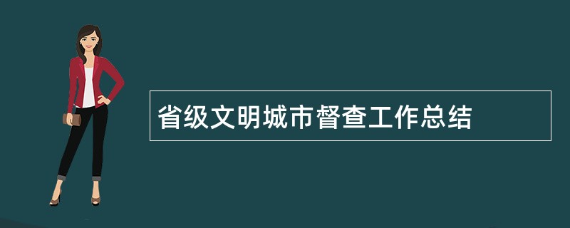 省级文明城市督查工作总结