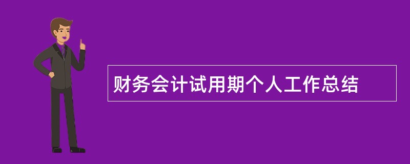 财务会计试用期个人工作总结