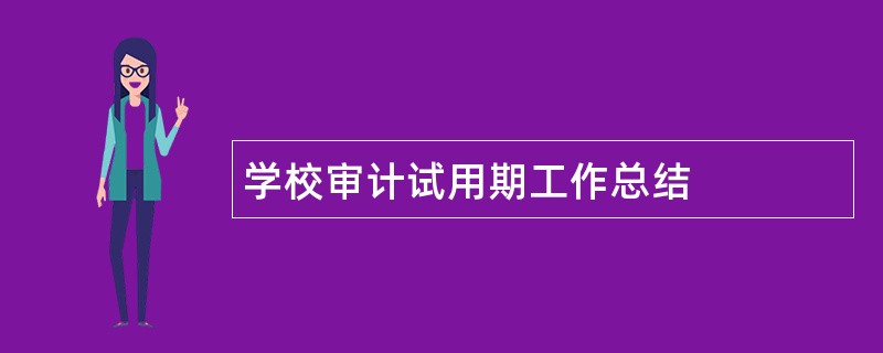 学校审计试用期工作总结