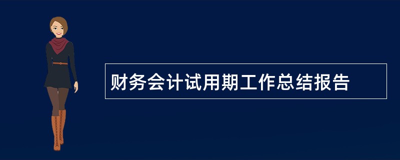 财务会计试用期工作总结报告