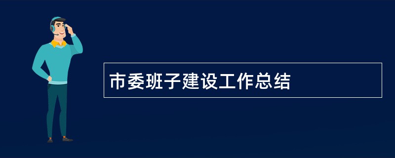 市委班子建设工作总结