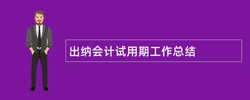 出纳会计试用期工作总结