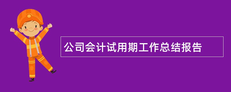 公司会计试用期工作总结报告