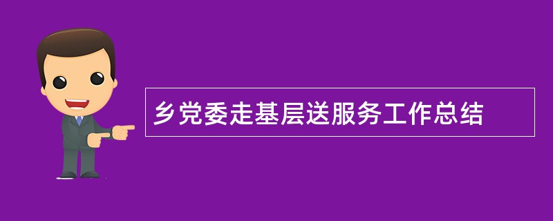 乡党委走基层送服务工作总结