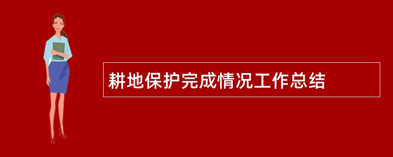 耕地保护完成情况工作总结