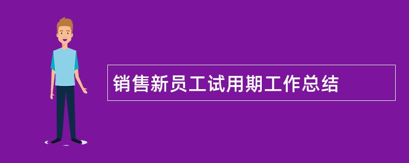 销售新员工试用期工作总结