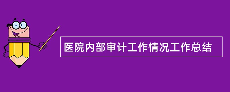 医院内部审计工作情况工作总结