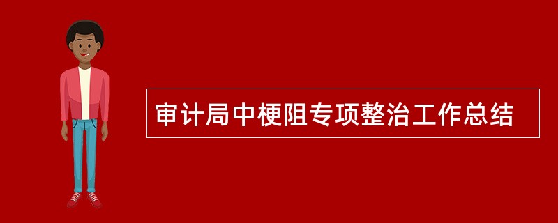 审计局中梗阻专项整治工作总结