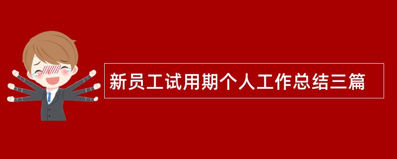 新员工试用期个人工作总结三篇